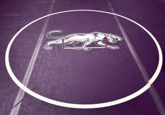 Wrestling Puma Circle